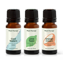 Load image into Gallery viewer, Plant Therapy - Summer Splash Essential Oil Blend Set
