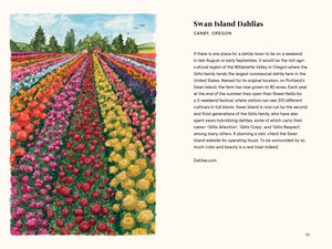 A Little Book of Flowers: Dahlias | Paige Tate & Co