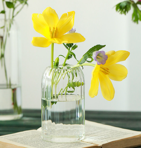 Stripes Clear Bud Vases, Borosilicate Light Weight Glass: 6''T | Sweet Home Deco