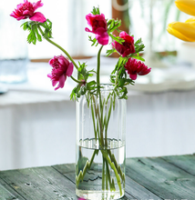 Load image into Gallery viewer, Stripes Clear Bud Vases, Borosilicate Light Weight Glass: 6&#39;&#39;T | Sweet Home Deco

