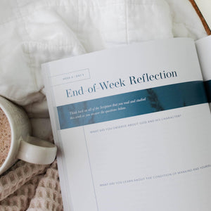 Vol. 1 | Matthew | New Testament