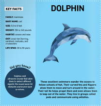 Load image into Gallery viewer, My Sticker Paintings: Ocean Animals Activity book
