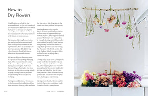 Union Square & Co. - Healing Power of Flowers by Claire Bowen