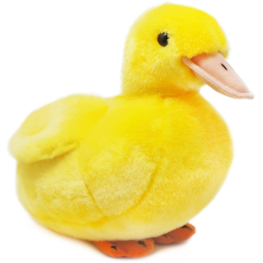 Dani The Duckling