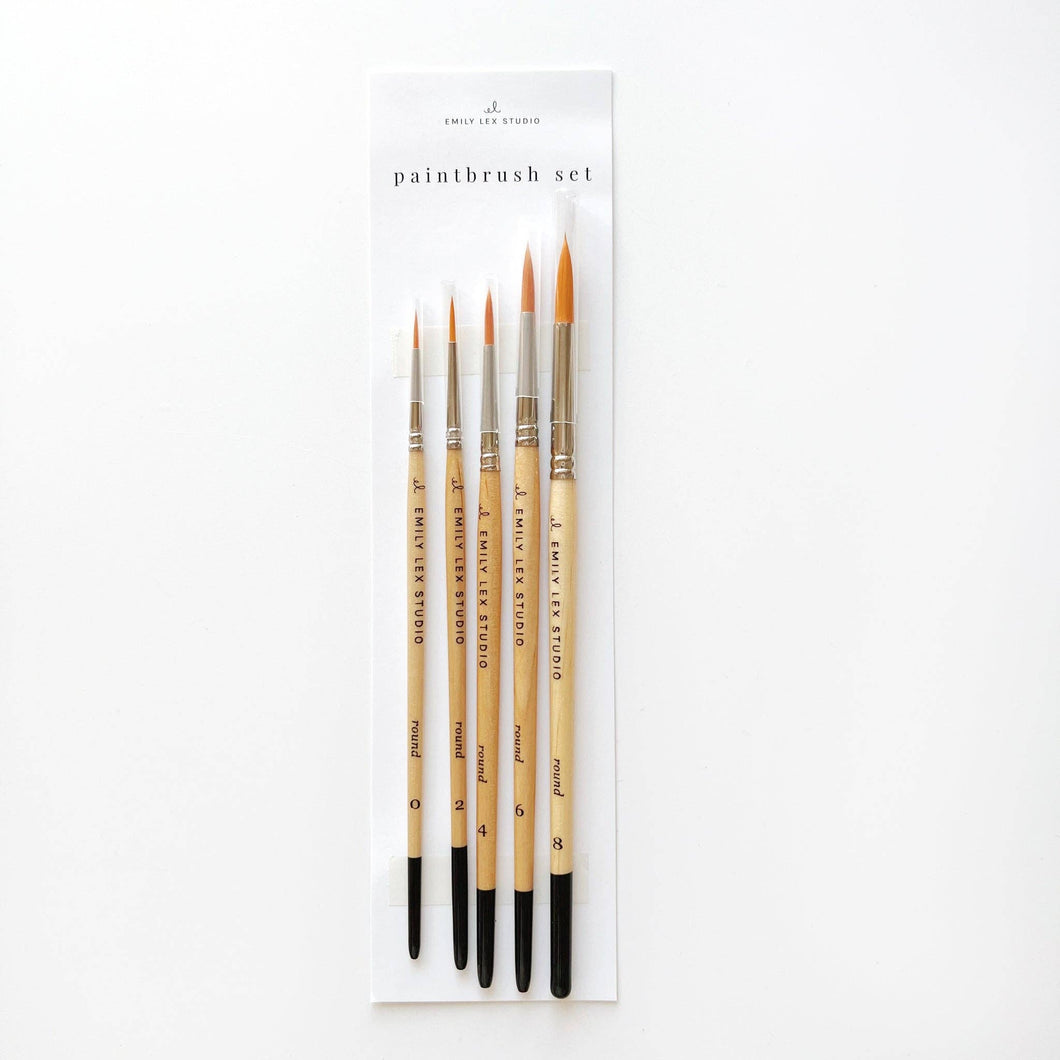 Watercolor paintbrush set  | emily lex studio