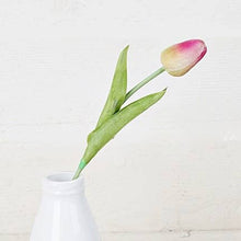 Load image into Gallery viewer, Tulip Bud Stem | Purple green
