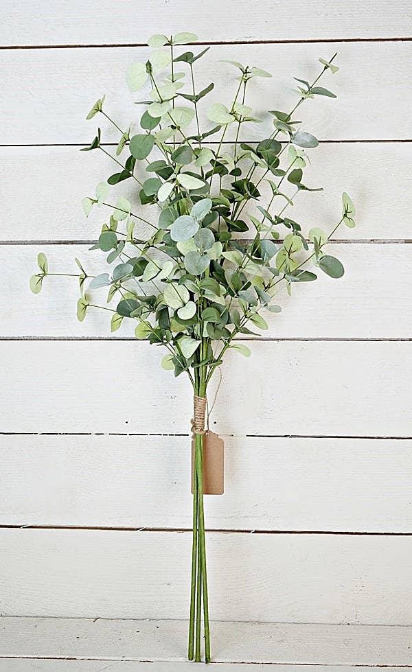 Silver Dollar Eucalyptus Bundle