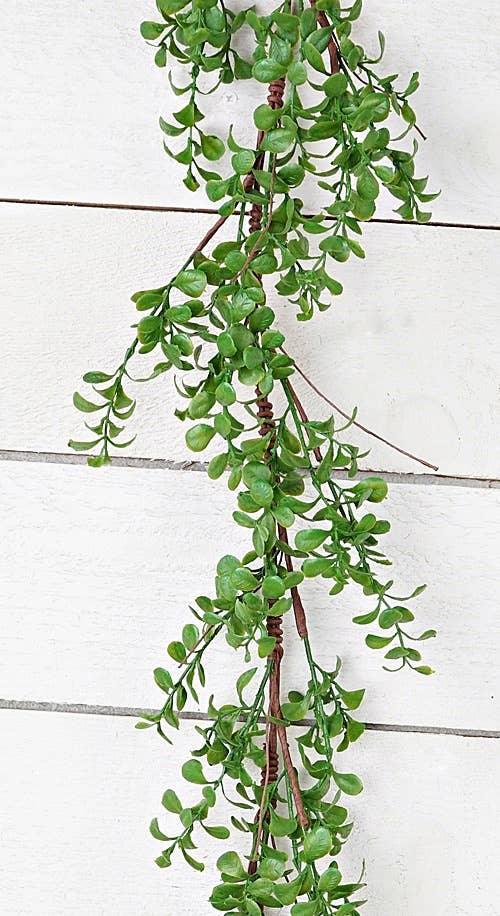 Evergreen Boxwood Garland