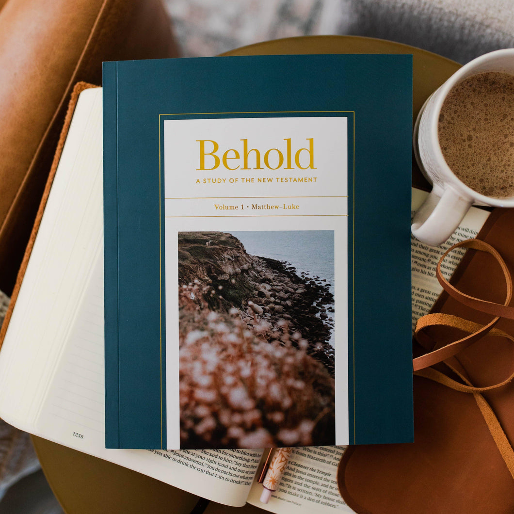 Vol. 1 | Matthew | New Testament