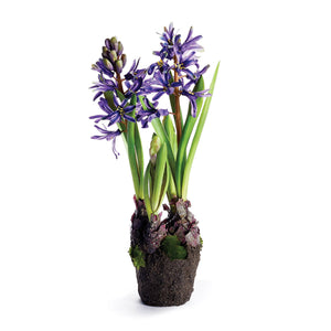Hyacinth Drop-In 13"- Blue/Violet
