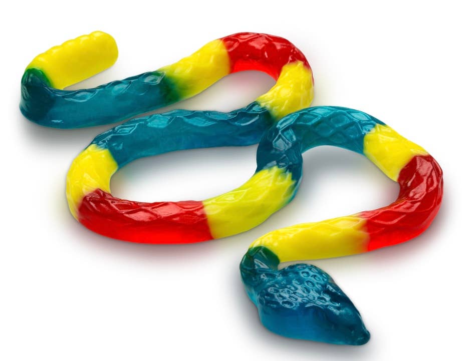 O'Shea's Candies Sweet Shop - Gummy Rainbow Rattlesnake 🐍 24 Inch Length  1PK