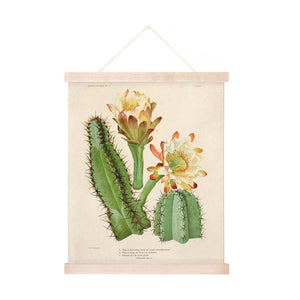 Curious Prints - Vintage Botanical Cactus 2 Print w/ optional frame
