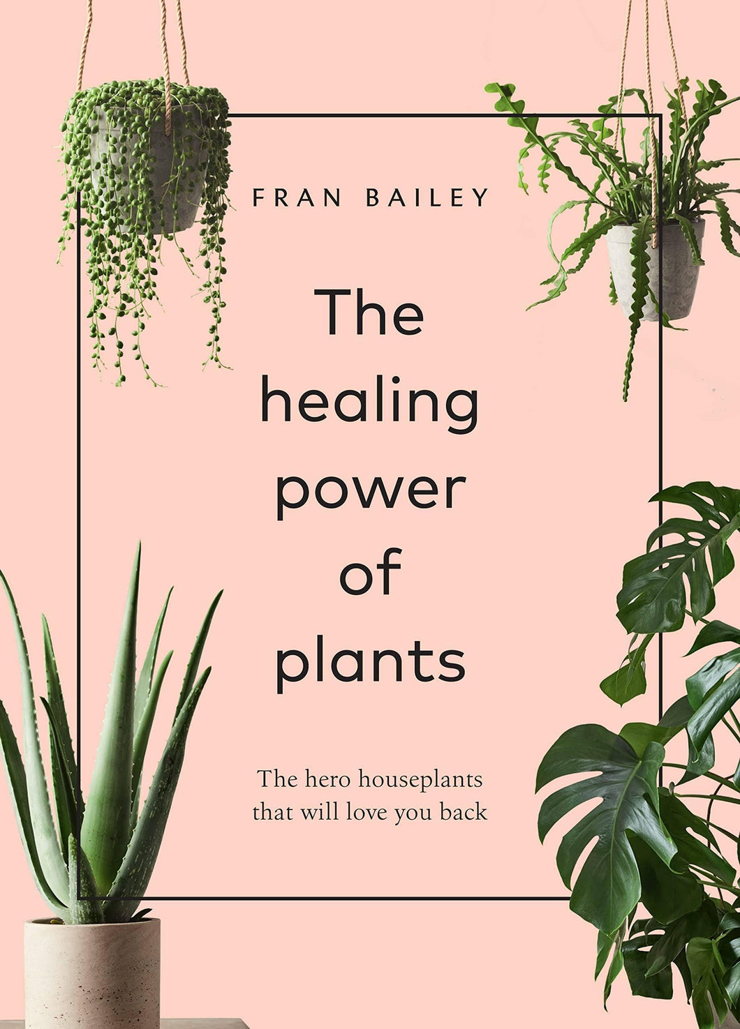 Union Square & Co. - The Healing Power of Plants By Fran Bailey