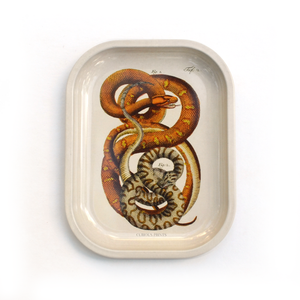 Curious Prints - Small Metal Snake Ritual Tray / Vintage Print Rolling Tray