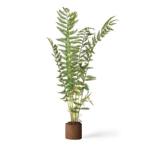Sword Fern Drop-In 32"