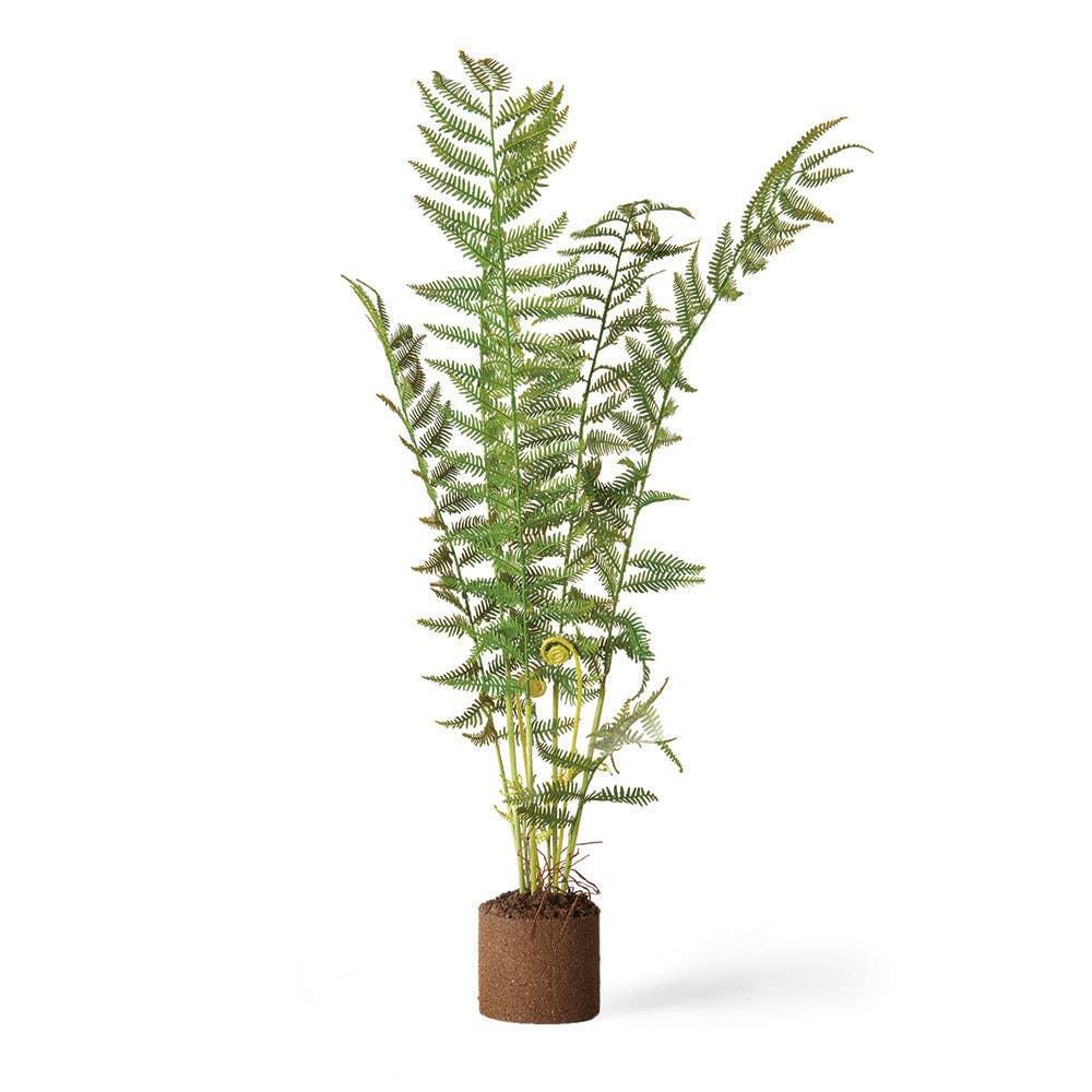 Sword Fern Drop-In 32