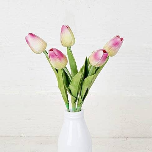 Tulip Bud Stem | Purple green
